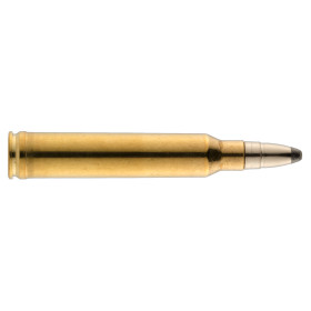 Munitions RWS .300 Win Mag 181 gr : Précision et Puissance pour Gros Gibier