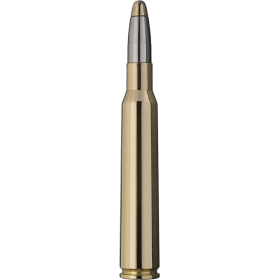 Munitions RWS 7x64 : Puissance et Précision pour Chasseurs Exigeants