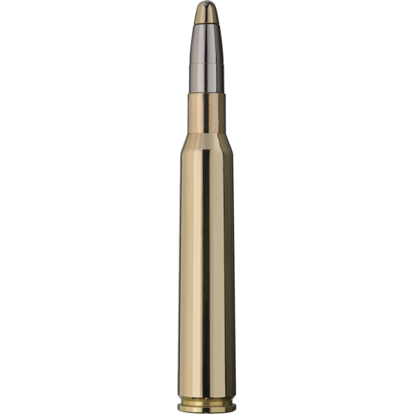 Munitions RWS 7x64 : Puissance et Précision pour Chasseurs Exigeants