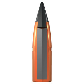 Winchester 7mm Rem Mag 140gr : Puissance et Précision Ultimes