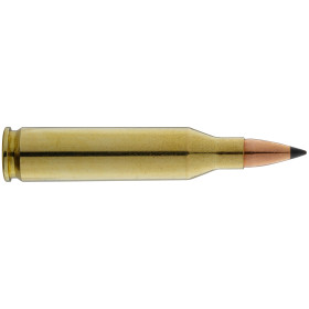 Winchester Varmint-X .243 : Précision et Impact pour Nuisibles