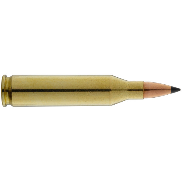 Winchester Varmint-X .243 : Précision et Impact pour Nuisibles