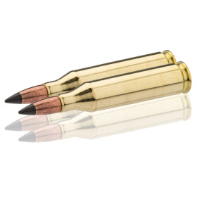 Cartouches Winchester .243 : Précision et Impact pour Gibier Moyen