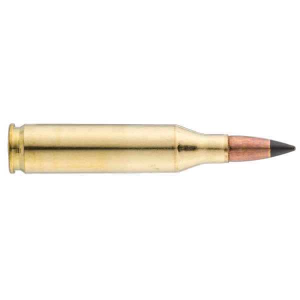 Cartouches Winchester .243 : Précision et Impact pour Gibier Moyen