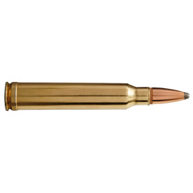 Winchester Power Point .243 : Précision et Impact pour Gibier Moyen