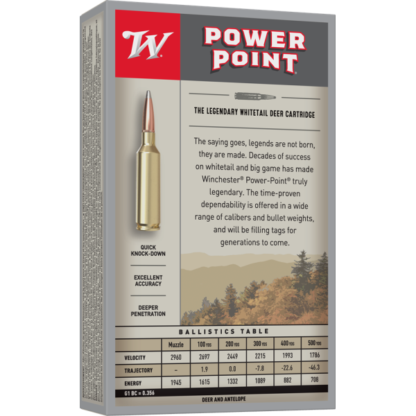 Winchester Power Point .243 : Précision et Impact pour Gibier Moyen