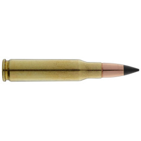 Munitions Winchester .308 : Précision et Impact pour Grand Gibier