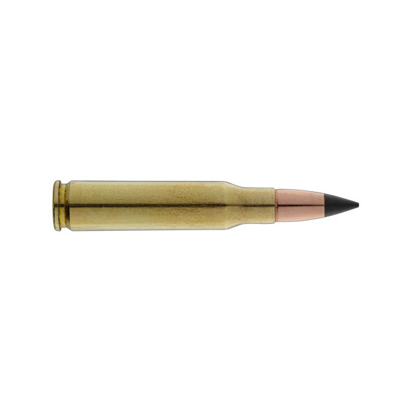 Munitions Winchester .308 : Précision et Impact pour Grand Gibier