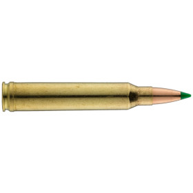 Munitions Sologne .300 Win. Mag. : Puissance et Précision Inégalées