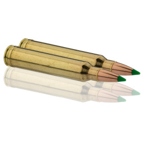 Munitions Sologne .300 Win. Mag. : Puissance et Précision Inégalées