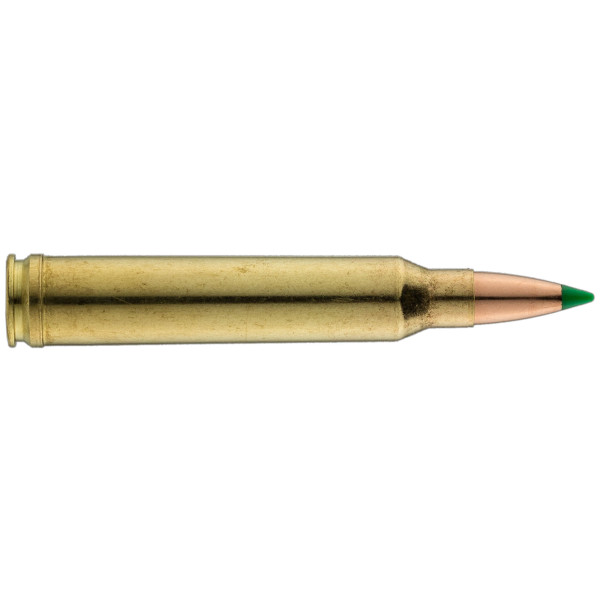 Munitions Sologne .300 Win. Mag. : Puissance et Précision Inégalées