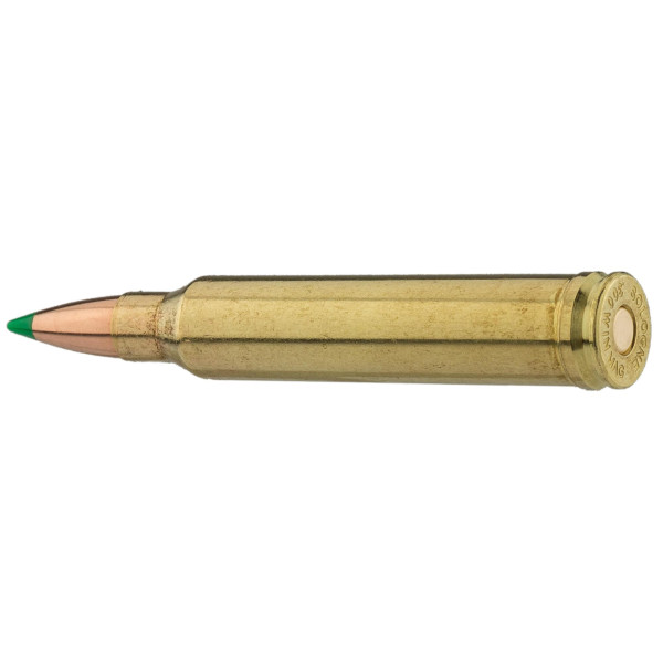 Munitions Sologne .300 Win. Mag. : Puissance et Précision Inégalées