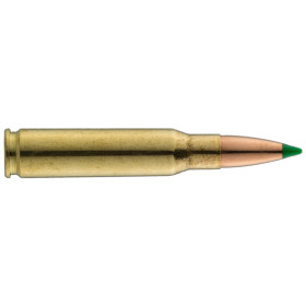 Sologne .308 Win Nosler 180 gr : Puissance et Précision Ultimes