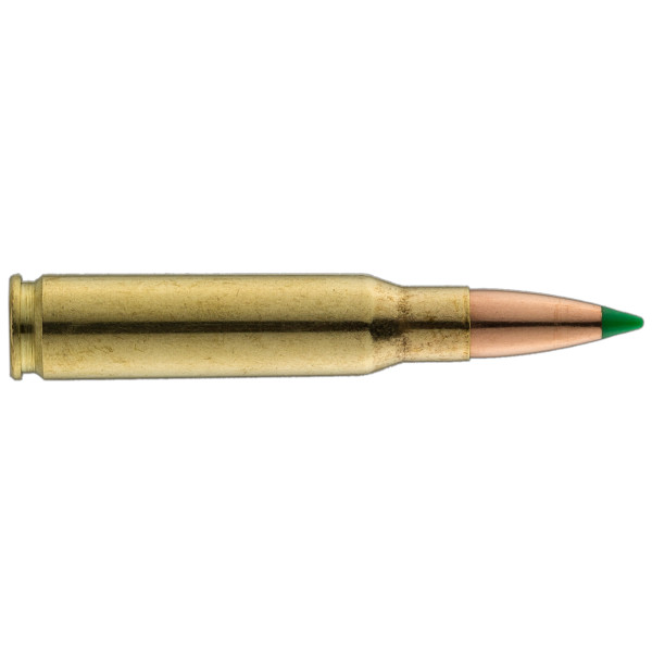 Sologne .308 Win Nosler 180 gr : Puissance et Précision Ultimes