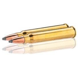 Cartouches Sologne 30 R Blaser : Impact puissant pour grand gibier