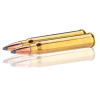 Cartouches Sologne 30 R Blaser : Impact puissant pour grand gibier