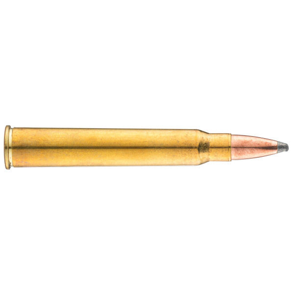 Cartouches Sologne 30 R Blaser : Impact puissant pour grand gibier