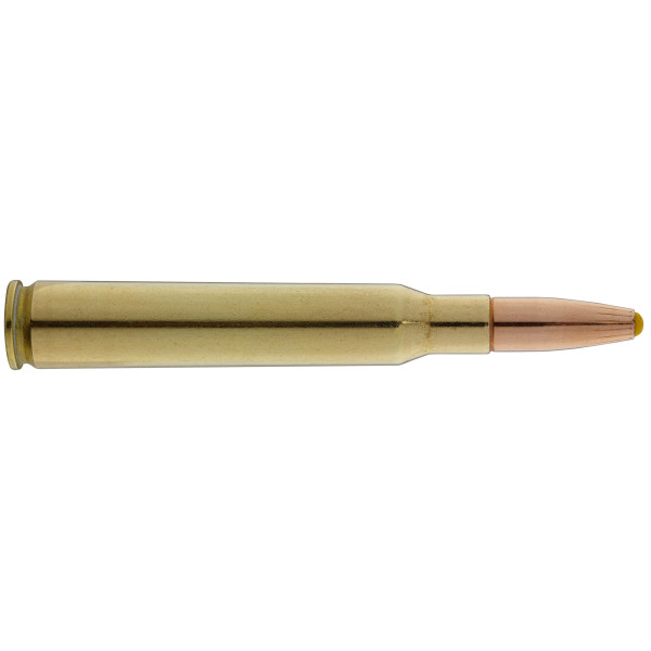 Cartouche Norma 7x64 170 gr : Précision et Impact Puissant