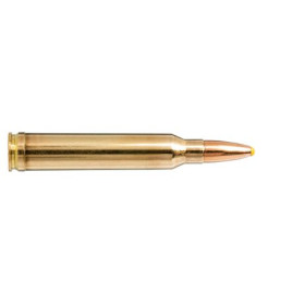 Norma .300 Win Mag 180 gr : Puissance et Précision pour Gibier Lourd