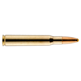 Munition Norma Plastic Point .30-06 : Expansion rapide et fiable