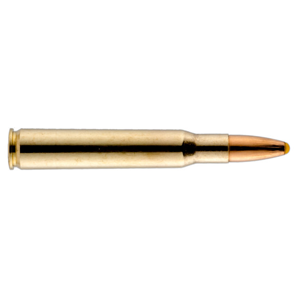 Munition Norma Plastic Point .30-06 : Expansion rapide et fiable