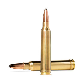 Munitions Norma .300 Win Mag : Puissance et Précision Inégalées