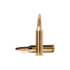 Munition Norma .243 Win 100 gr : Précision et Confort de Tir