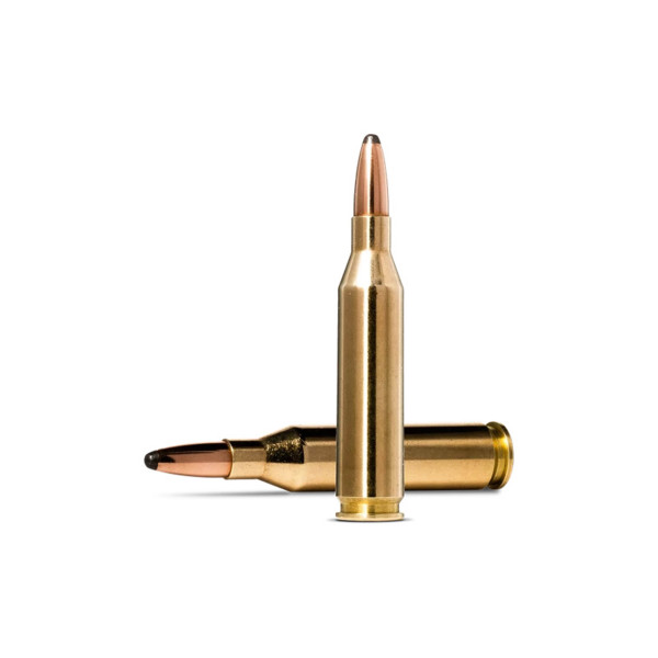 Munition Norma .243 Win 100 gr : Précision et Confort de Tir