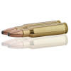 Norma .308 Winchester Whitetail : Précision et Impact pour Grand Gibier