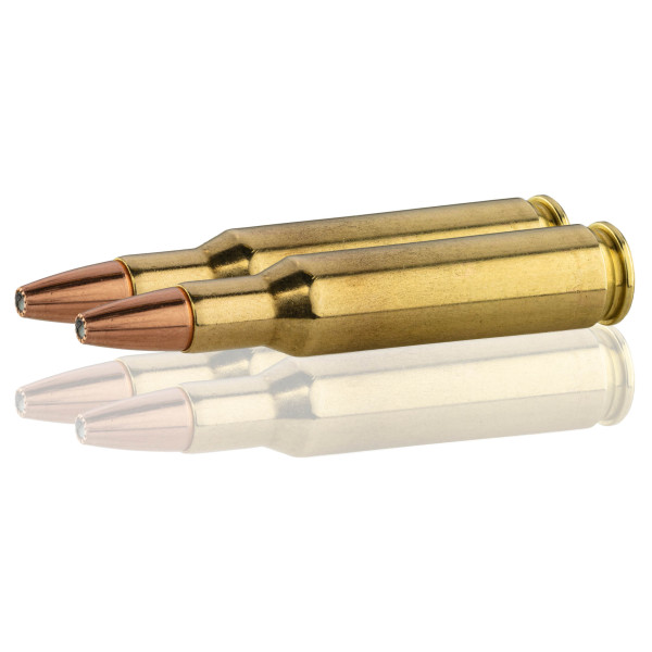 Cartouche Norma .222 Remington : Précision et Impact pour Nuisibles
