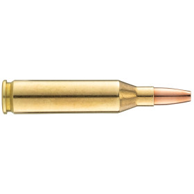 Norma .243 Winchester VerminXtreme : Précision et Impact Puissant