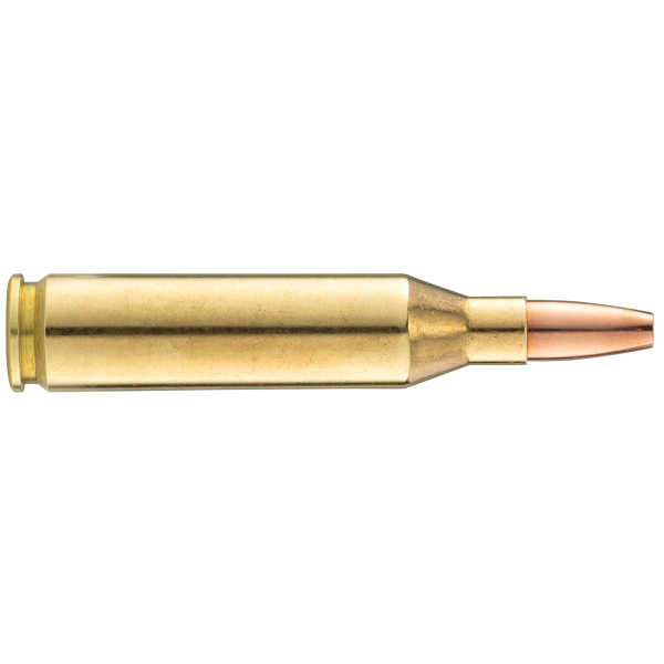 Norma .243 Winchester VerminXtreme : Précision et Impact Puissant