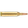Norma .243 Winchester VerminXtreme : Précision et Impact Puissant