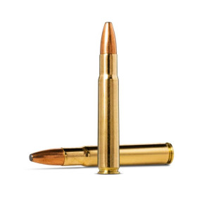 Norma .35 Whelen Oryx 250 Grains : Impact Maximal sur Grand Gibier