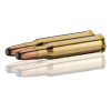Cartouches Sologne .307 Win 170 gr : Précision et Impact en Battue