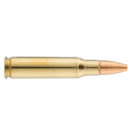 Winchester Subsonic .308 Win : Silence et Précision à Chaque Tir