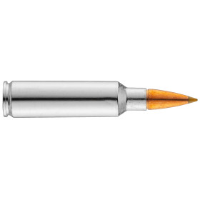 Browning .300 WSM BXS 180 gr : Puissance et Précision Ultimes
