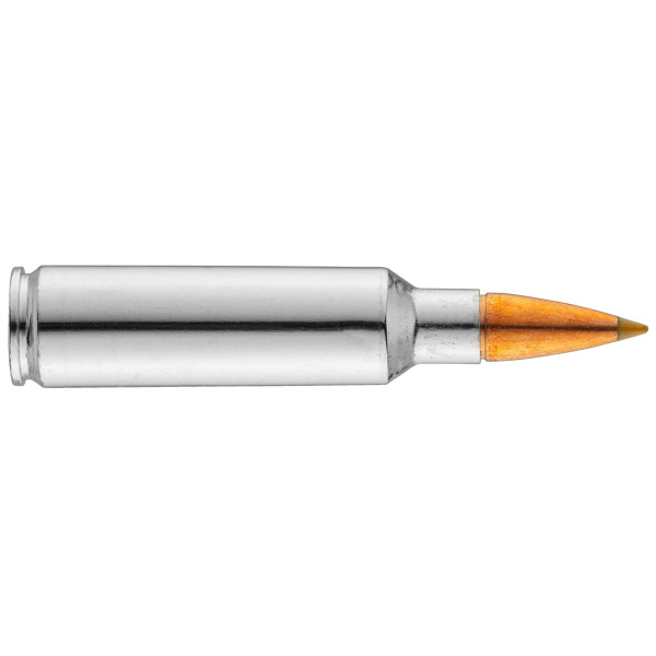 Browning .300 WSM BXS 180 gr : Puissance et Précision Ultimes