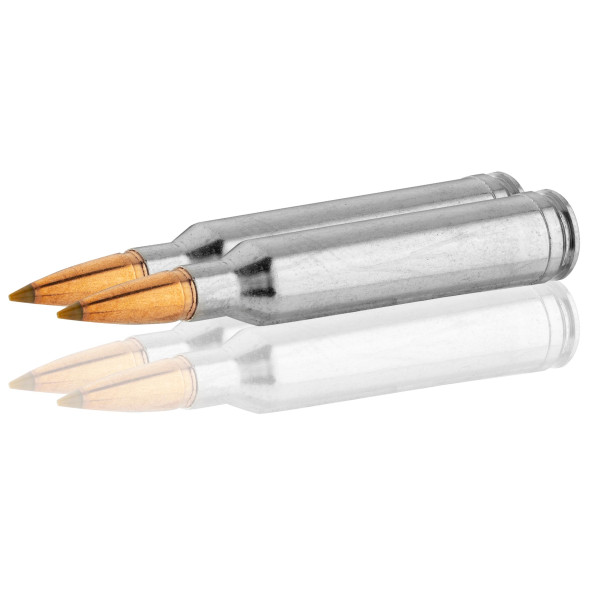 Browning 7mm Rem Mag BXS : Précision et Puissance pour Grand Gibier