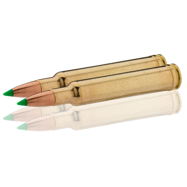 Puissance et Précision : Sologne .300 Weatherby Magnum pour Grand Gibier