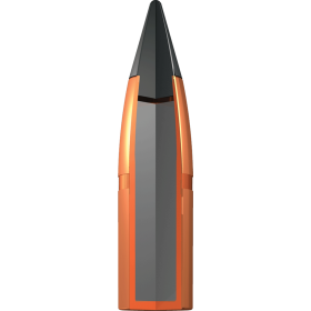 Winchester Deer Season XP .300 BLK : Précision et Impact Maximal