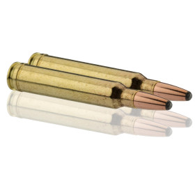 Munitions Sologne .300 Win. Mag. : Puissance et Précision Inégalées