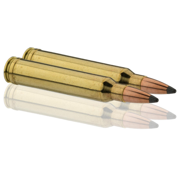 Munitions Sologne .300 Win. Mag. : Puissance et Précision Inégalées