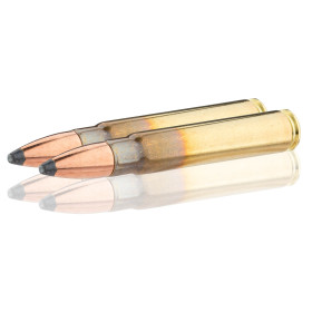 Sologne 9,3x62 Nosler Partition : Puissance et Précision pour Grand Gibier