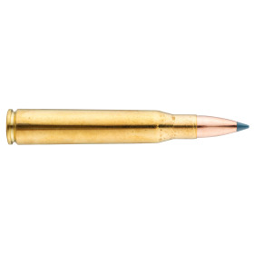 Puissance et Fiabilité : Sologne 8x68 S Nosler pour Grand Gibier