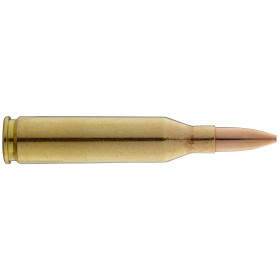 Munitions Sologne .243 Win Subsonique : Précision Silencieuse