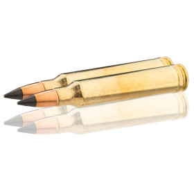 Winchester .300 Win Mag Extreme Point : Précision et Puissance pour le Grand Gibier