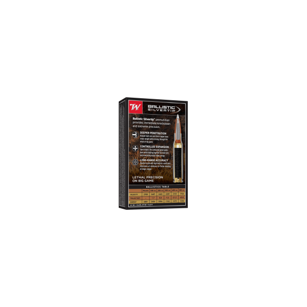 Winchester .30-06 Silvertip : Précision et Puissance Ultimes