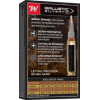 Winchester .30-06 Silvertip : Précision et Puissance Ultimes