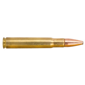 Puissance et Précision : Remington .35 Whelen Core-Lokt pour Grand Gibier